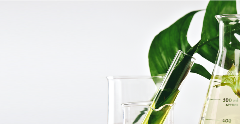 Sale of Everstone’s stake in OnmiActive to TA Associates