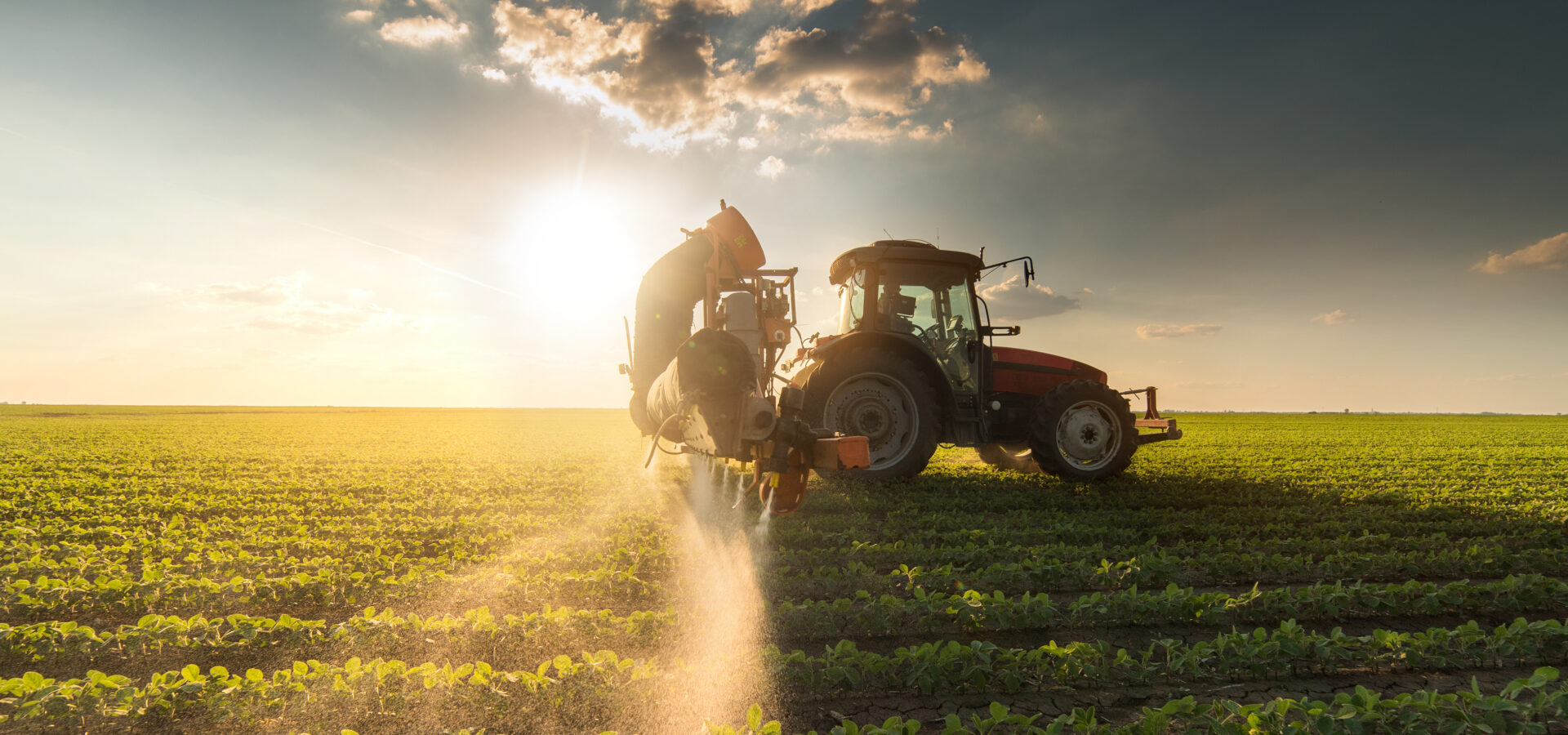 Agro-alimentaire Deals M&A