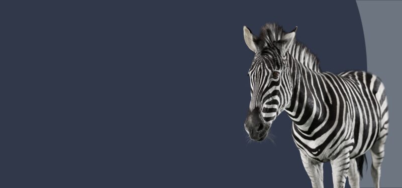 Sale of Forlaget Andersen