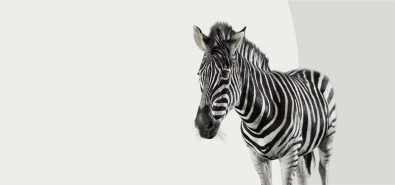 Financiering voor Möck door MBG