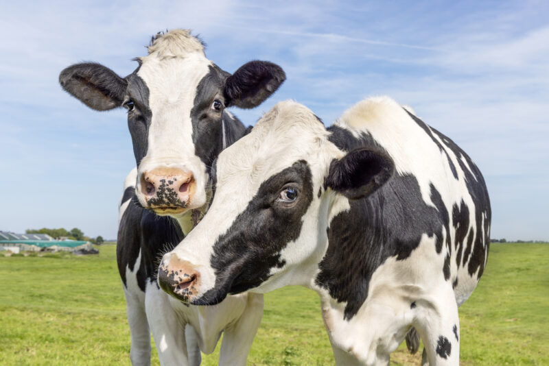 Sale of Interchemie to Nimbus